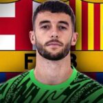 Imatge del perfil de aritzsugranes
